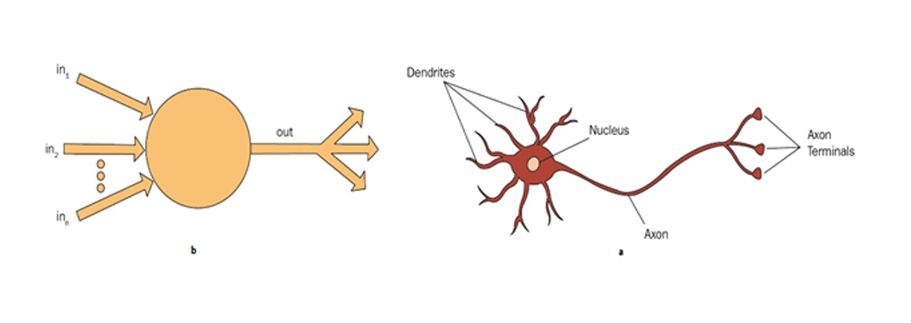شبکه عصبی Neural Network