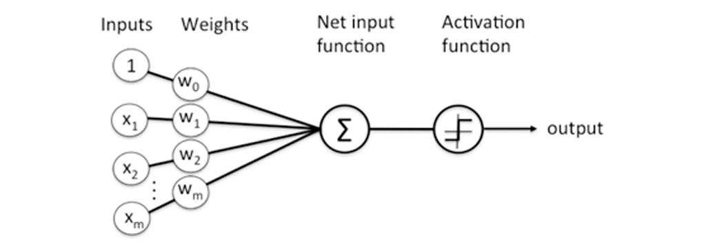 شبکه عصبی Neural Network